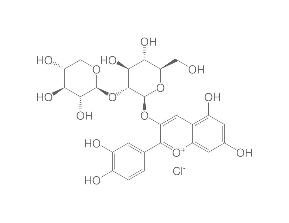 Cyanidin-3-O-sambubioside chloride, min. 95 %, 1 mg - Luminix Health
