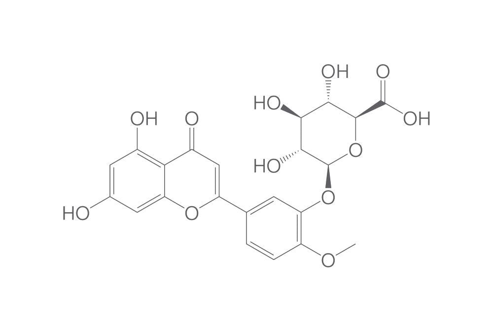 Diosmetin-3'-O-b-D-glucuronide, min. 95 %, 1 mg - Luminix Health