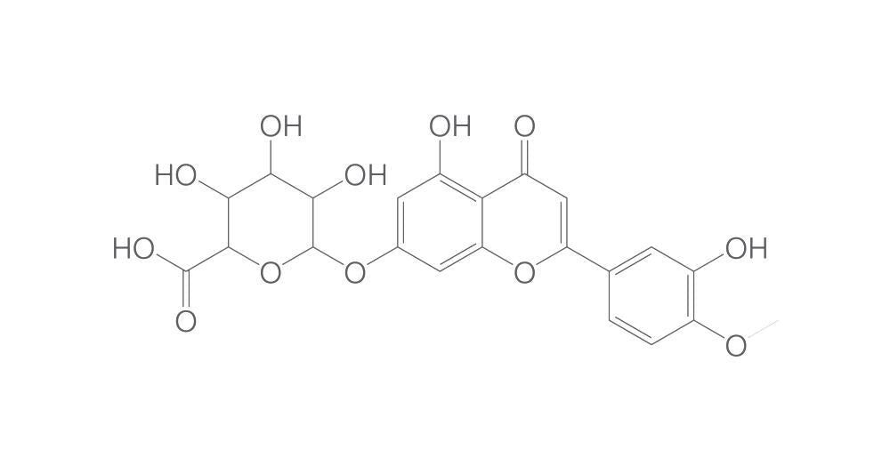 Hesperetin 7-O-b-D-glucuronide, min. 95 %, 1 mg - Luminix Health