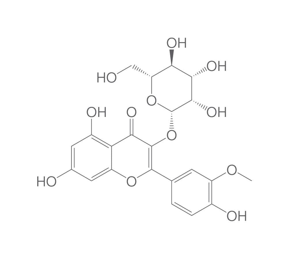 Isorhamnetin 3-O-galactoside, min. 95 %, 1 mg - Luminix Health