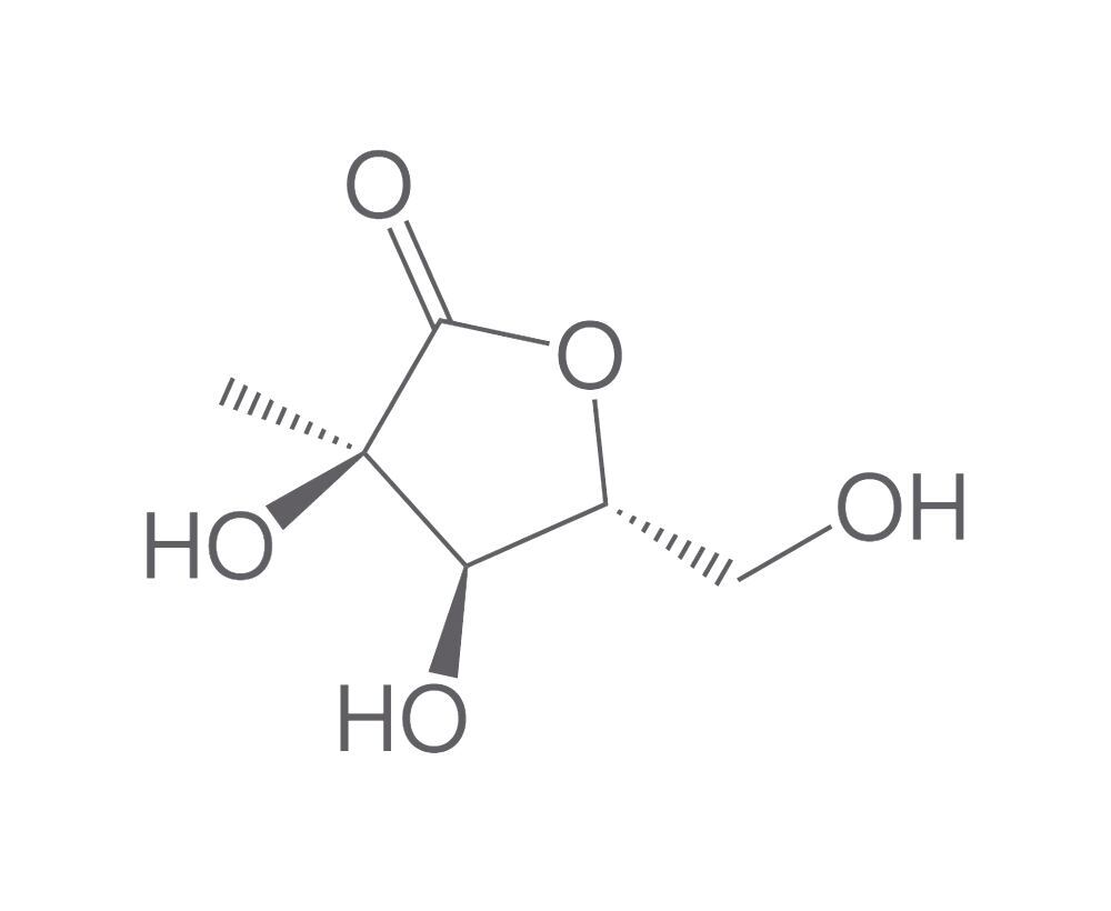 2-C-Methyl-D-ribono-1,4-lactone, 10 g - Luminix Health