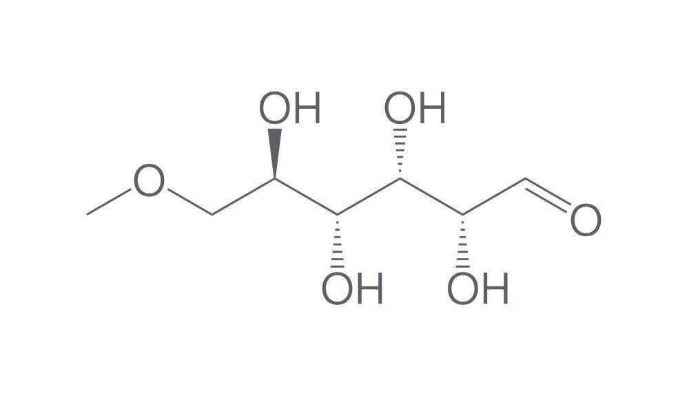 Image of 6-O-Methyl-D-glucose