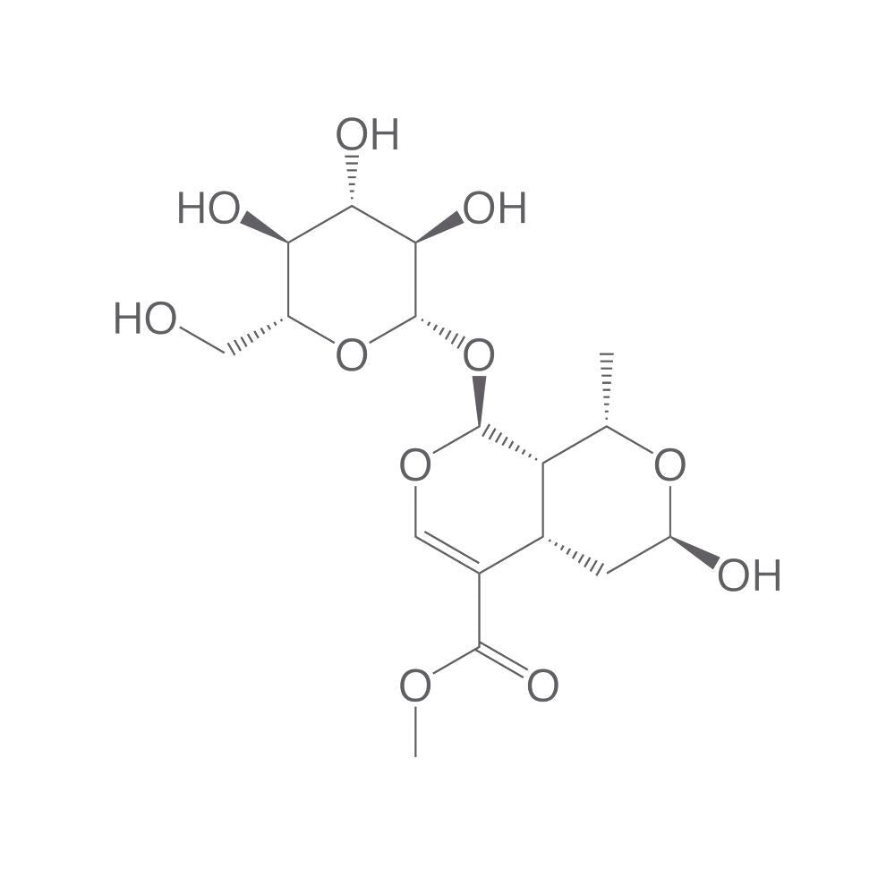Morroniside, min. 95 %, 100 mg - Luminix Health