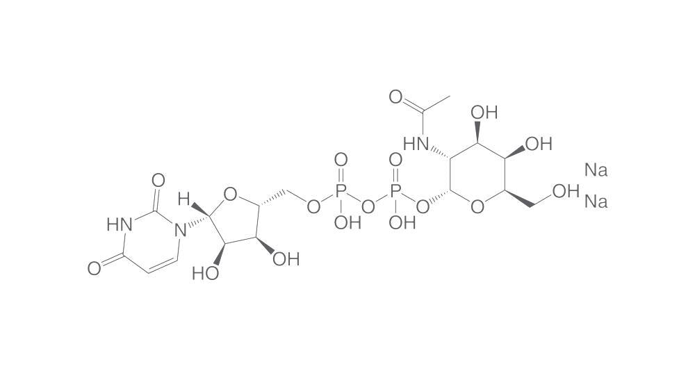 UDP-GalNAc disodium salt, min. 95 %, 5 mg - Luminix Health