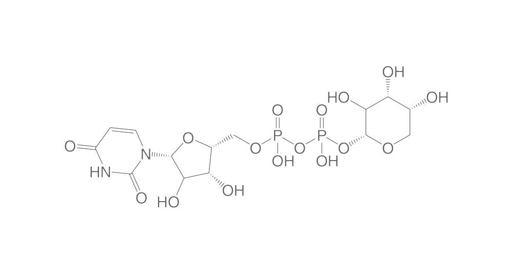 UDP-a-D-xylose, 1 mg - Luminix Health