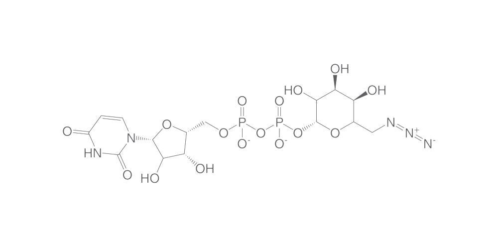UDP-6-azido-6-deoxy-D-galactose triethyl, ammonium, 1 mg - Luminix Health