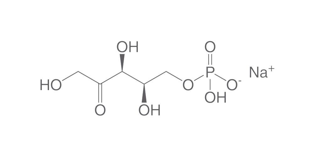 D-Xylulose 5-phosphate sodium, min. 80 %, 1 mg - Luminix Health