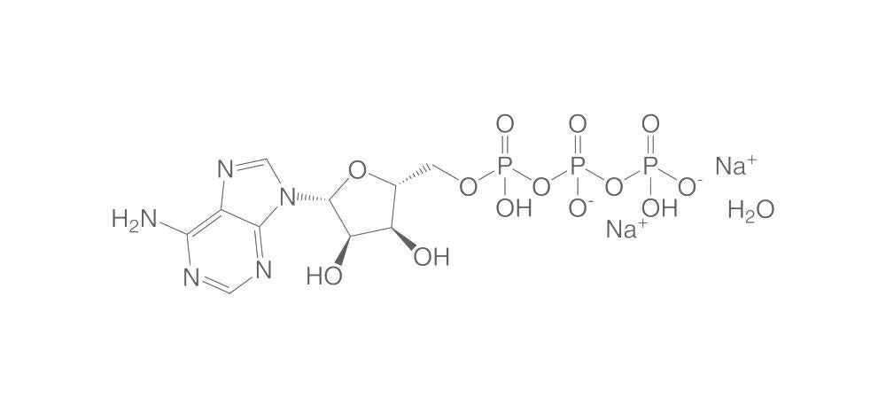 Adenosine 5'-triphosphate disodium salt, hydrate, 100 g - Luminix Health