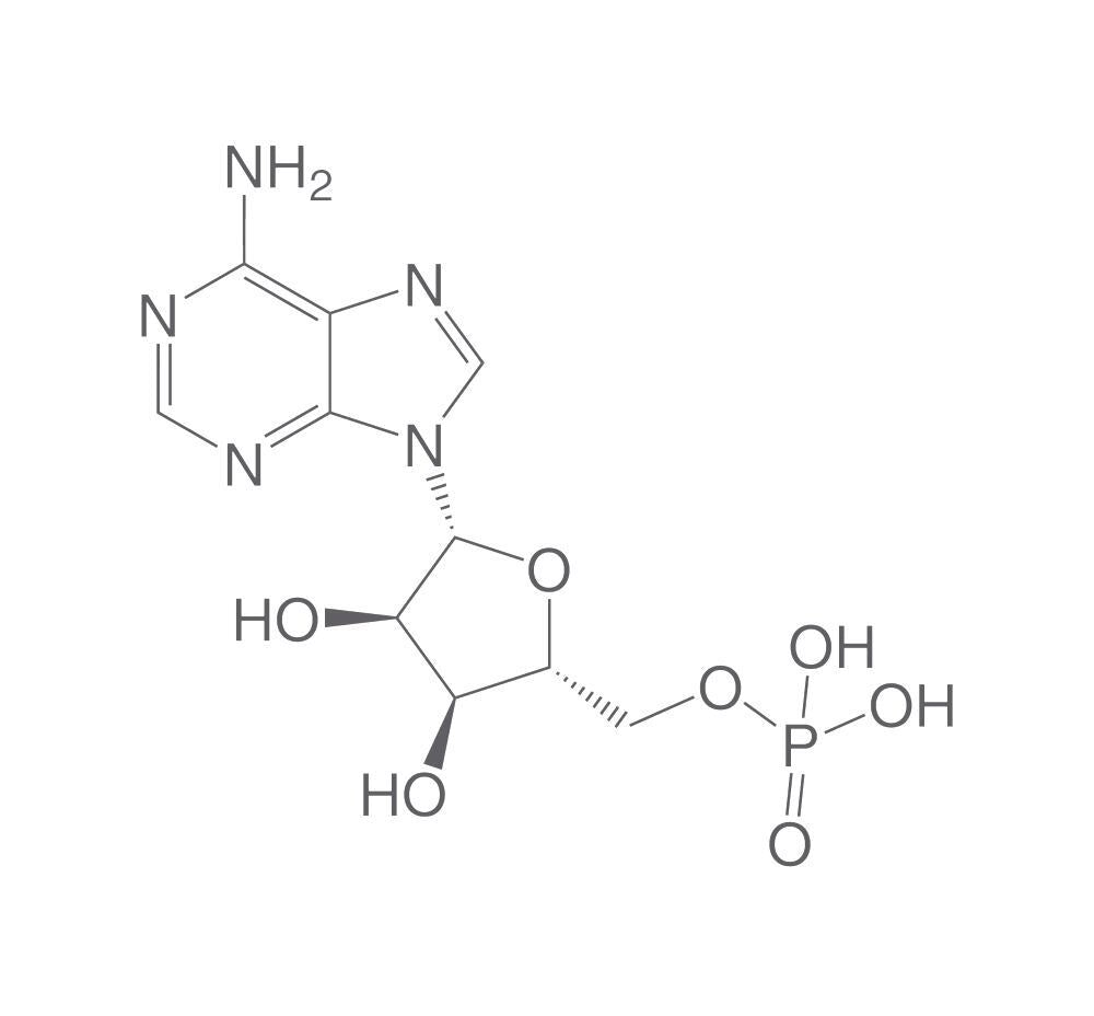 Adenosine 5'-monophosphate, 250 g - Luminix Health