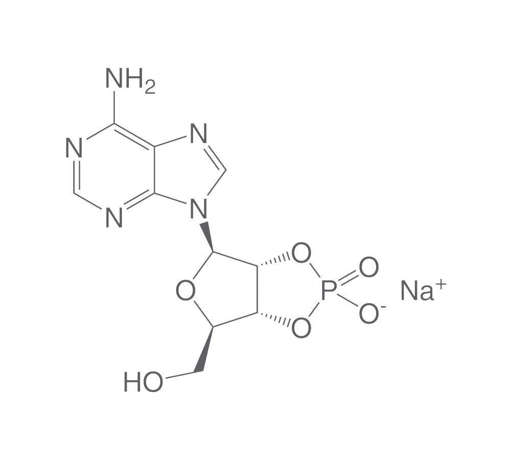 Image of Adenosine 2',3'-cyclic monophosphate sod