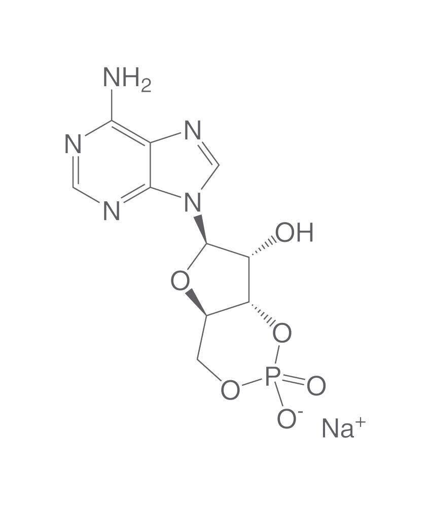 Adenosine 3',5'-cyclic monophosphate sod, ium salt, 5 g - Luminix Health