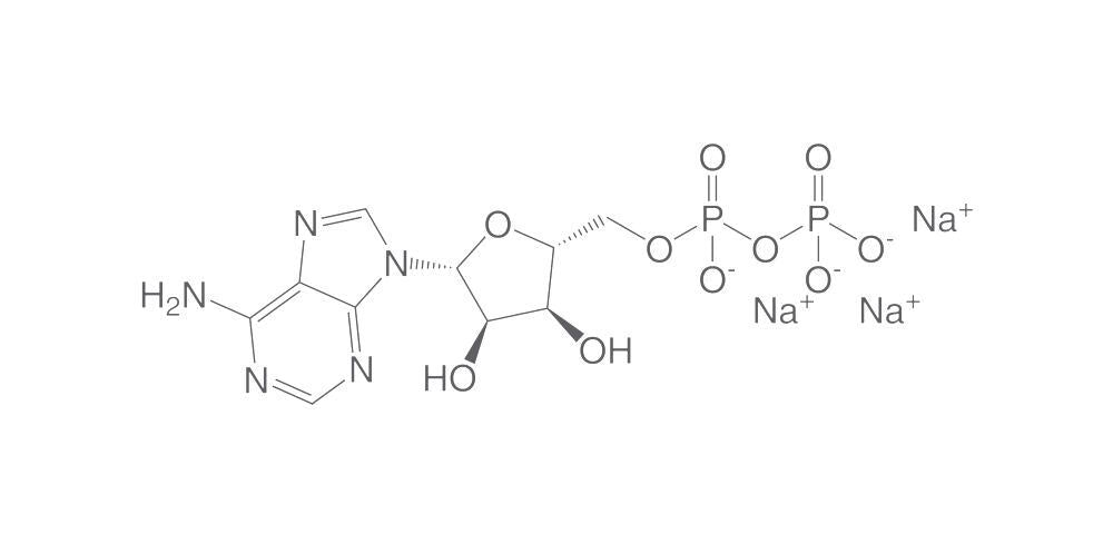 Adenosine 5'-diphosphate monosodium salt, min. 95 %, 25 g - Luminix Health