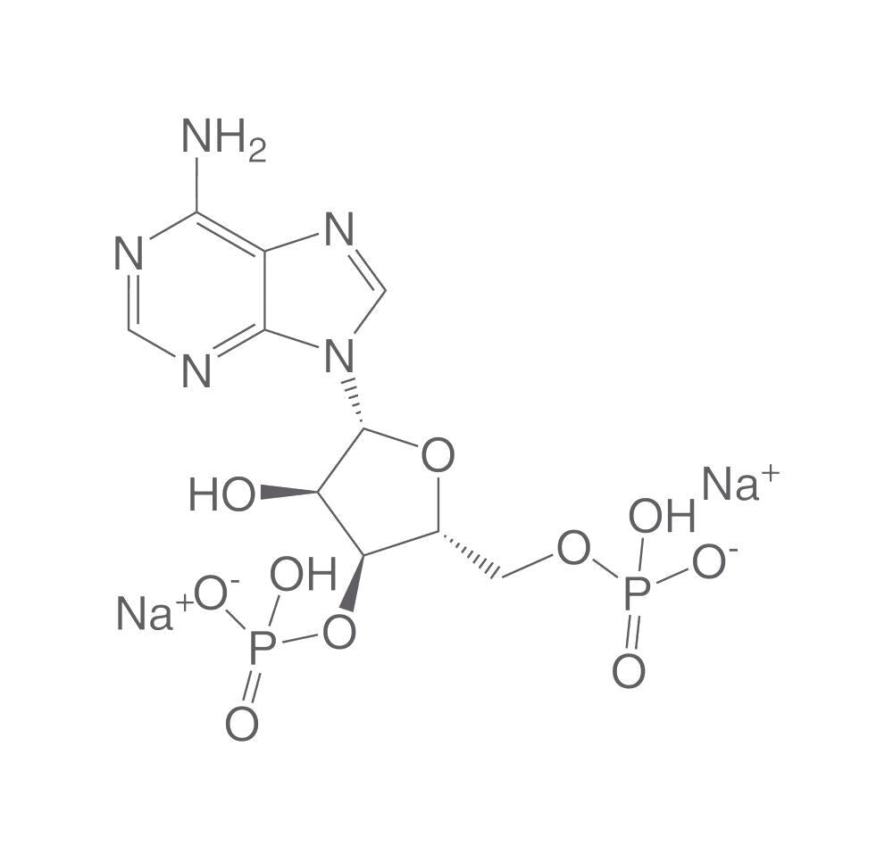Adenosine 3',5'-diphosphate disodium sal, t, 2 mg - Luminix Health