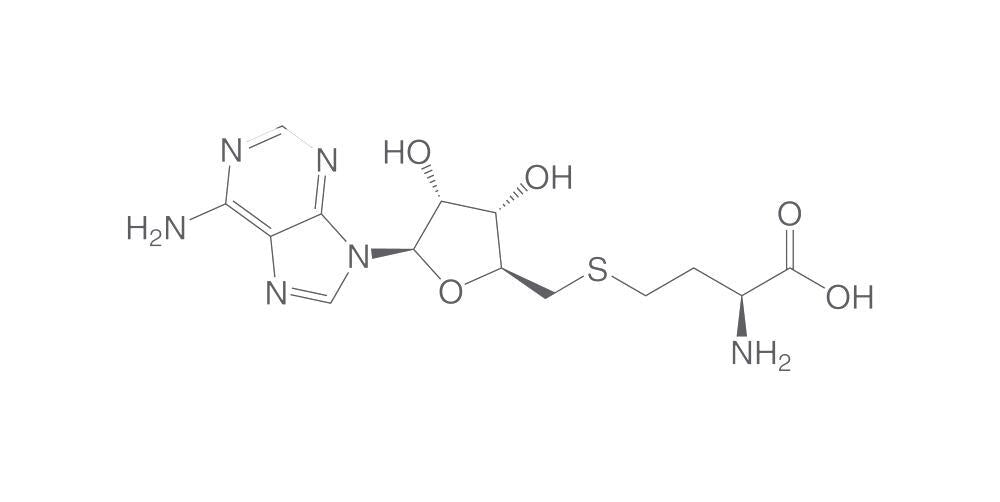 S-(5'-Adenosyl)-L-homocysteine dihydrate, 25 mg - Luminix Health