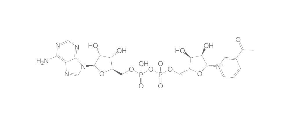 Image of 3-Acetylpyridine adenine dinucleotide