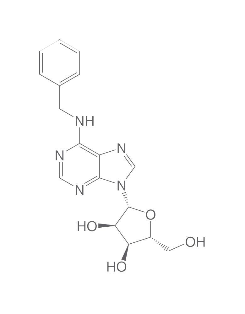 N6-Benzyladenosine, 2 g - Luminix Health