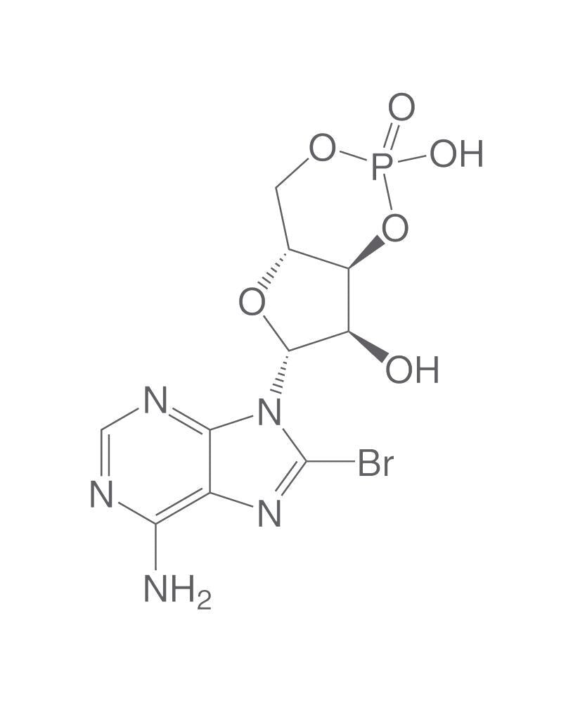 Image of 8-Bromoadenosine 3',5'-cyclic monophosph