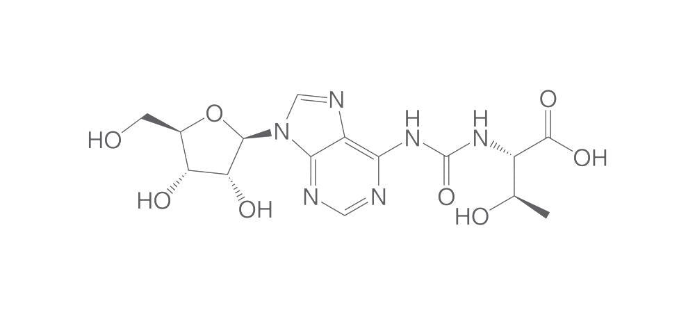 N6-Carbamoylthreonyladenosine sodium sal, t, 2 mg - Luminix Health