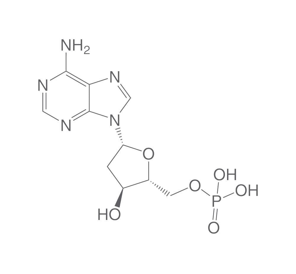 2'-Deoxyadenosine-5'-monophosphate free, acid, 1 g - Luminix Health