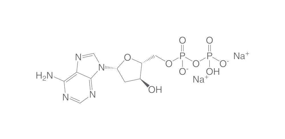 2'-Deoxyadenosine-5'-diphosphate sodium, salt, 25 mg - Luminix Health