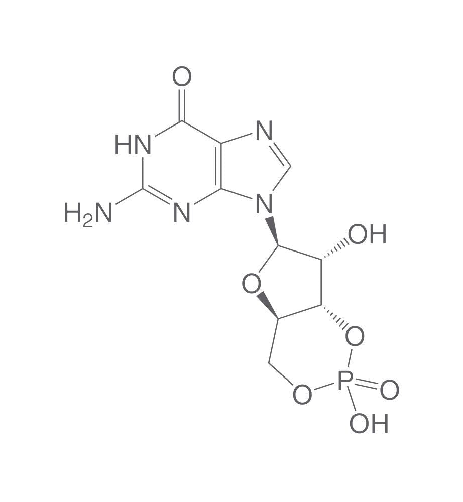 Guanosine 3',5'-cyclic monophosphate, 25 mg - Luminix Health