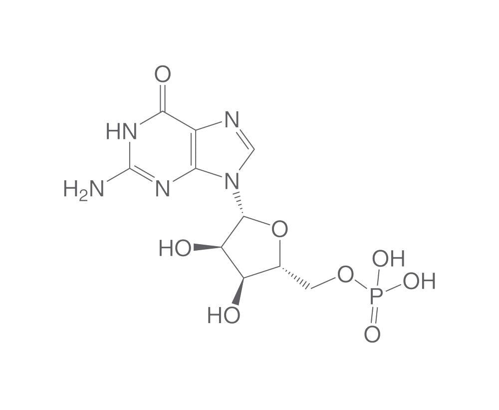 Guanosine 5'-monophosphate, 250 mg - Luminix Health