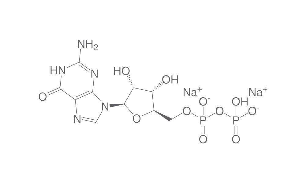 Guanosine 5'-diphosphate disodium salt, 5 g - Luminix Health