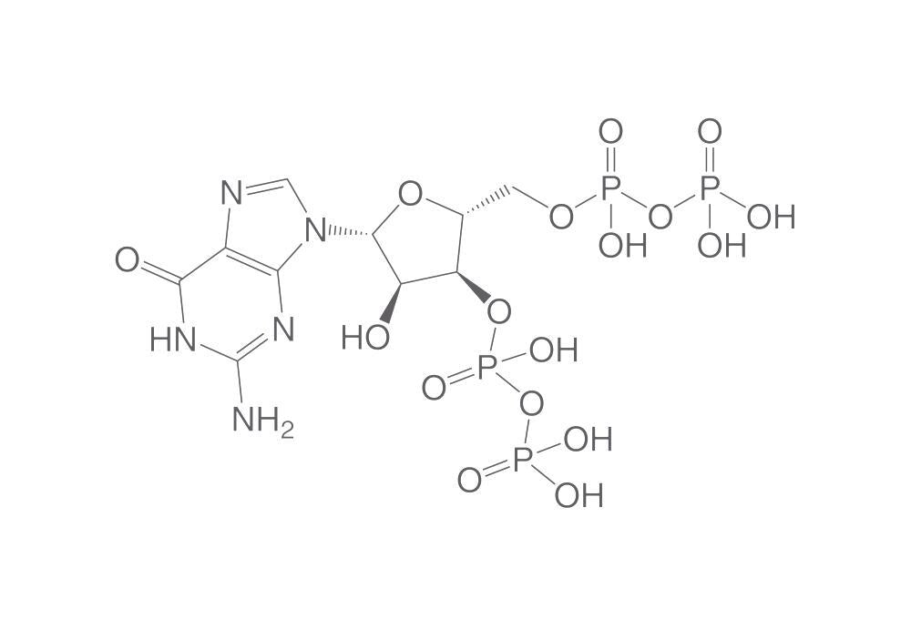 Guanosine 3',5'-bisdiphosphate lithium s, alt, 1 mg - Luminix Health