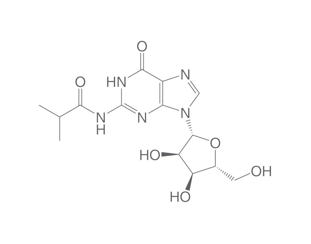 N2-Isobutyrylguanosine, 50 g - Luminix Health