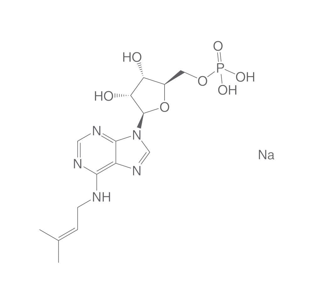 N6-Isopentenyladenosine-5'-monophosphate, disodium, 1 mg - Luminix Health