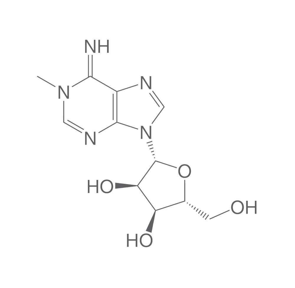 N1-Methyladenosine, min. 95 %, 250 mg - Luminix Health