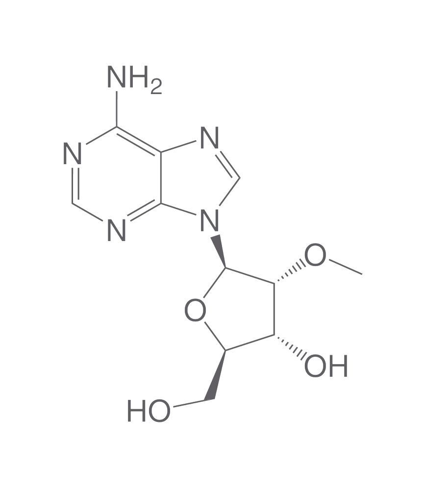 Image of 2'-O-Methyladenosine