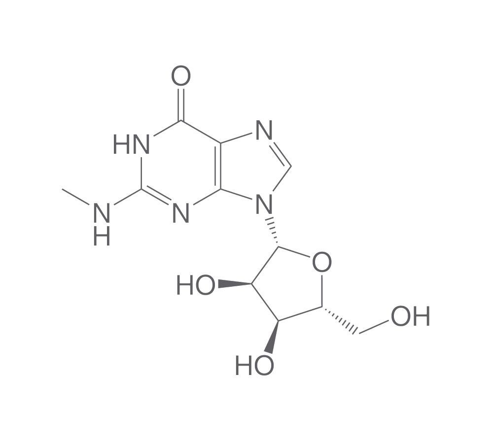 N2-Methylguanosine, 2 mg - Luminix Health