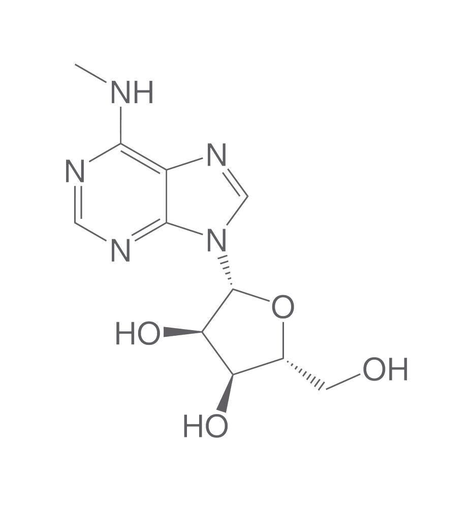 N6-Methyladenosine, 1 g - Luminix Health