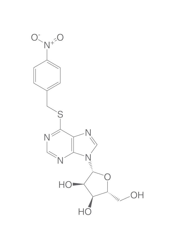 S-(4-Nitrobenzyl)-6-thioinosine, 100 mg - Luminix Health