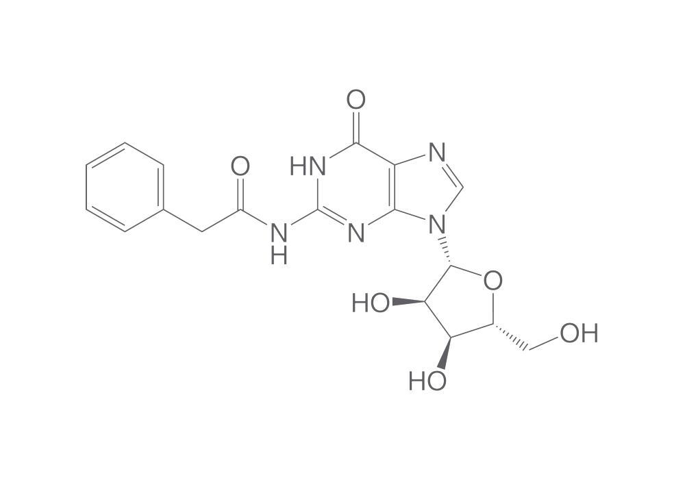 N2-Phenylacetylguanosine, 25 g - Luminix Health