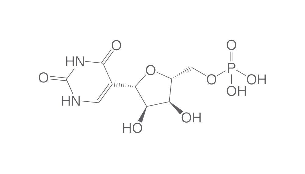 Pseudouridine 5'-monophosphate disodium, min. 95 %, 25 mg - Luminix Health
