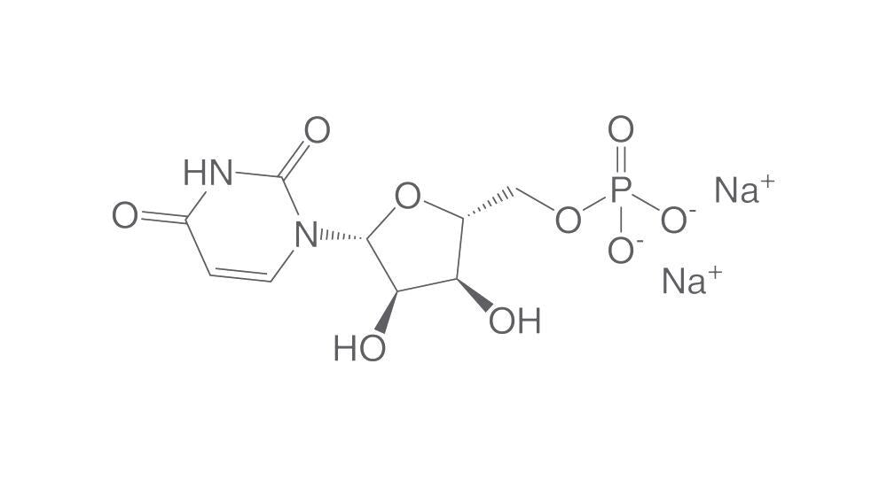Uridine 5'-monophosphate disodium, 250 g - Luminix Health