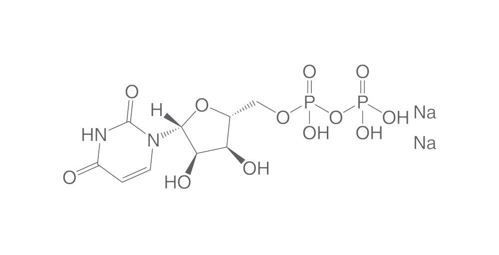 Uridine 5'-diphosphate disodium salt, min. 95 %, 2 g - Luminix Health