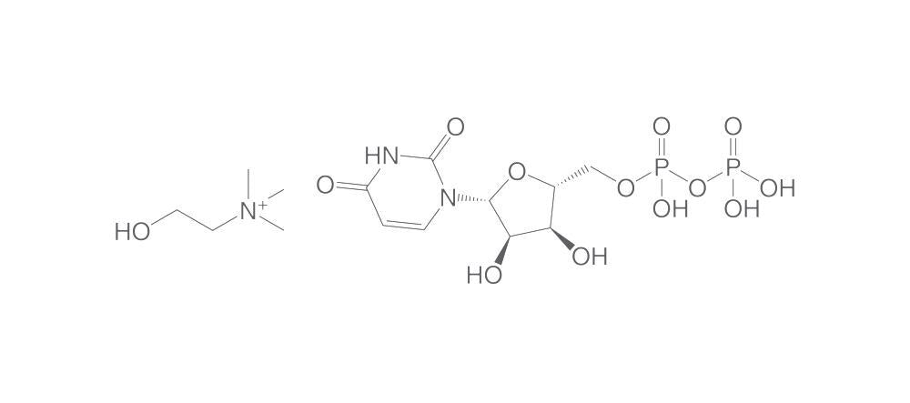 Uridine 5'-diphosphate choline ammonium, 1 mg - Luminix Health