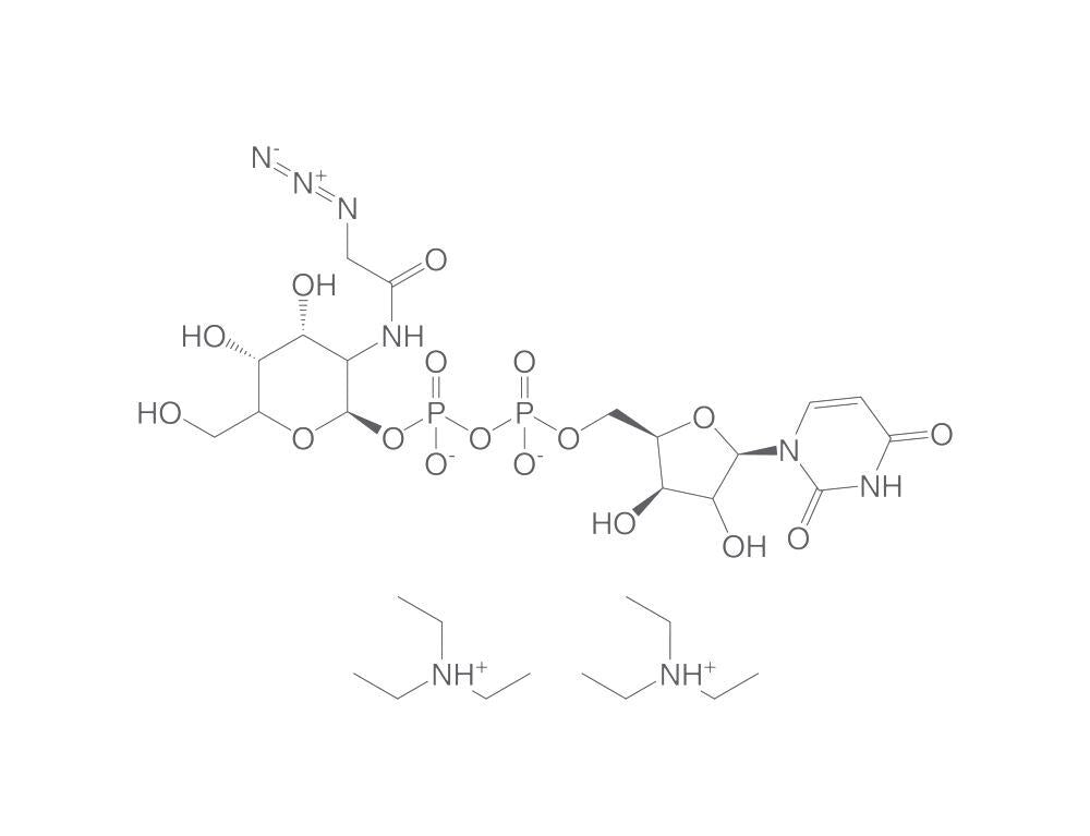 UDP-N-azidoacetylgalactosamine triethyla, mine, 1 mg - Luminix Health