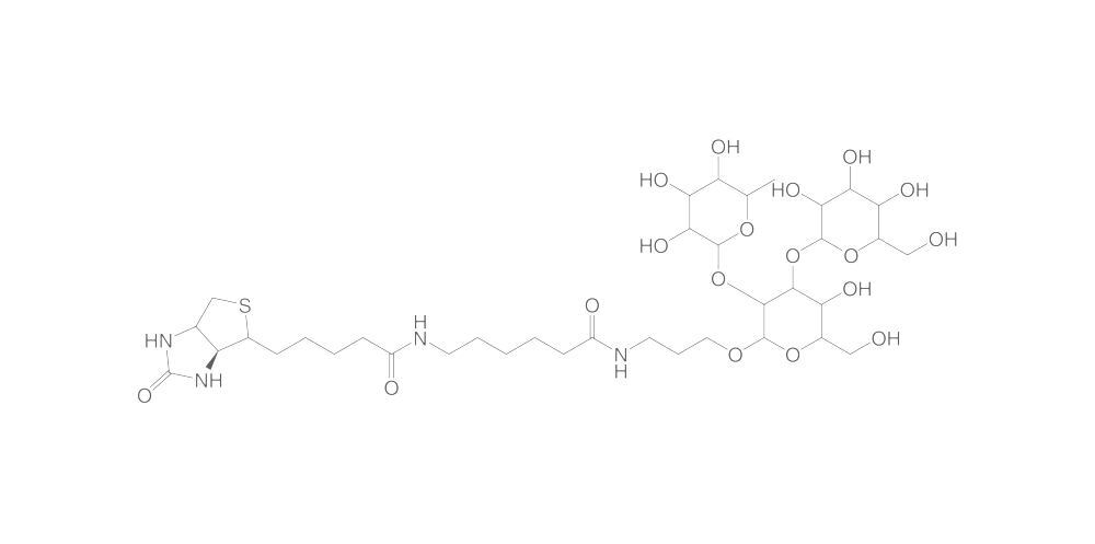 Blood Group B trisaccharide, min. 95 %, spacer-biotin conjugate, 1 mg - Luminix Health