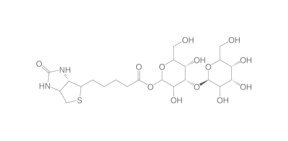 Image of a1-3-Galactobiose-biotin
