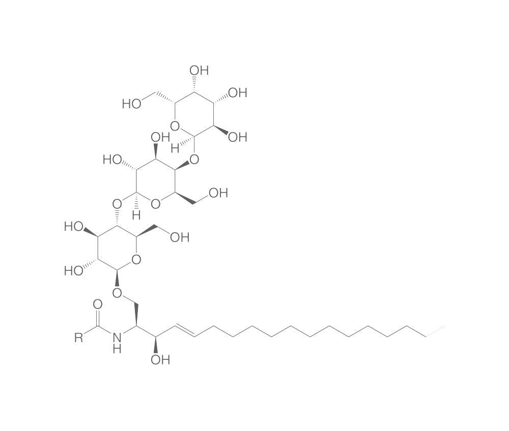 Globotriaosylceramide, min. 95 %, 1 mg - Luminix Health
