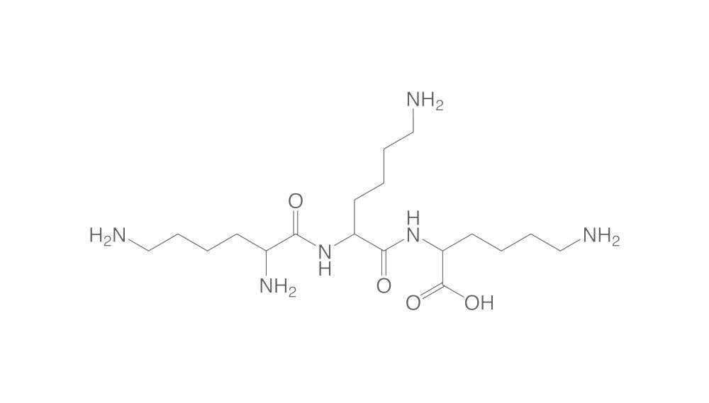 Poly-L-Lysine Hydrobromide, 100 mg - Luminix Health