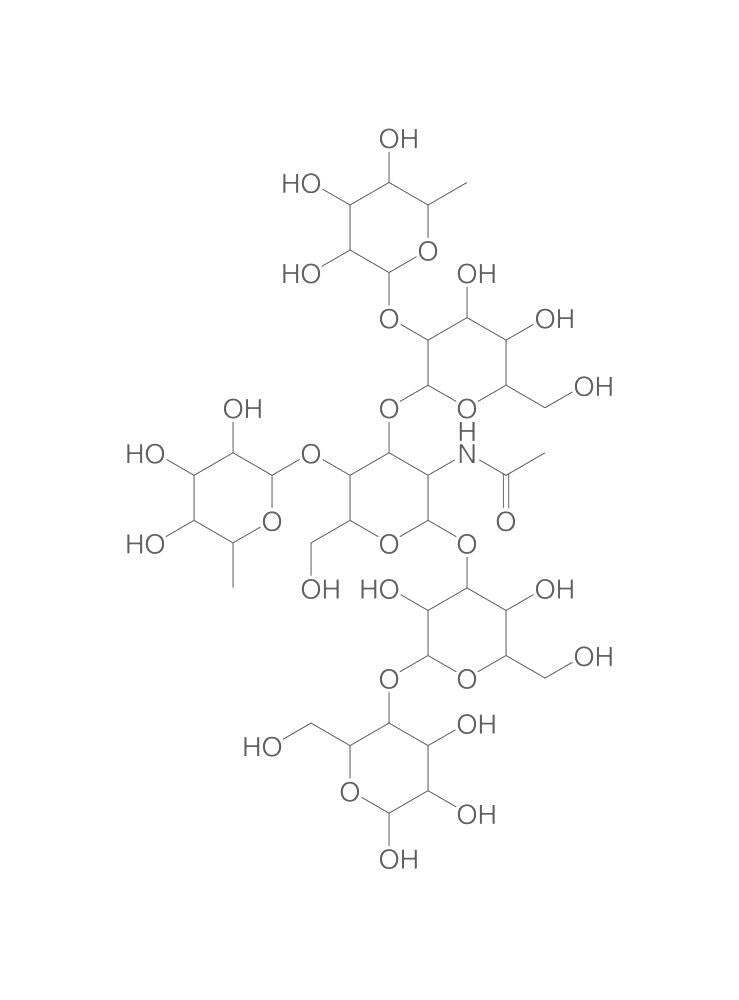 Lacto-N-difucohexaose I, min. 95 %, 2 mg - Luminix Health