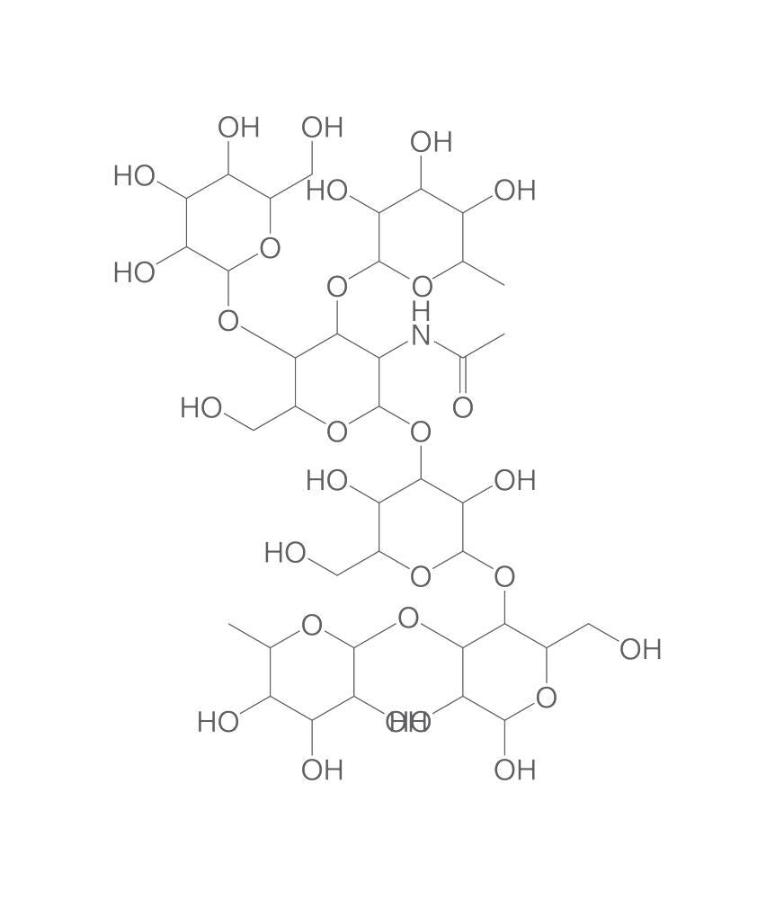 Lacto-N-neodifucohexaose, 1 mg - Luminix Health