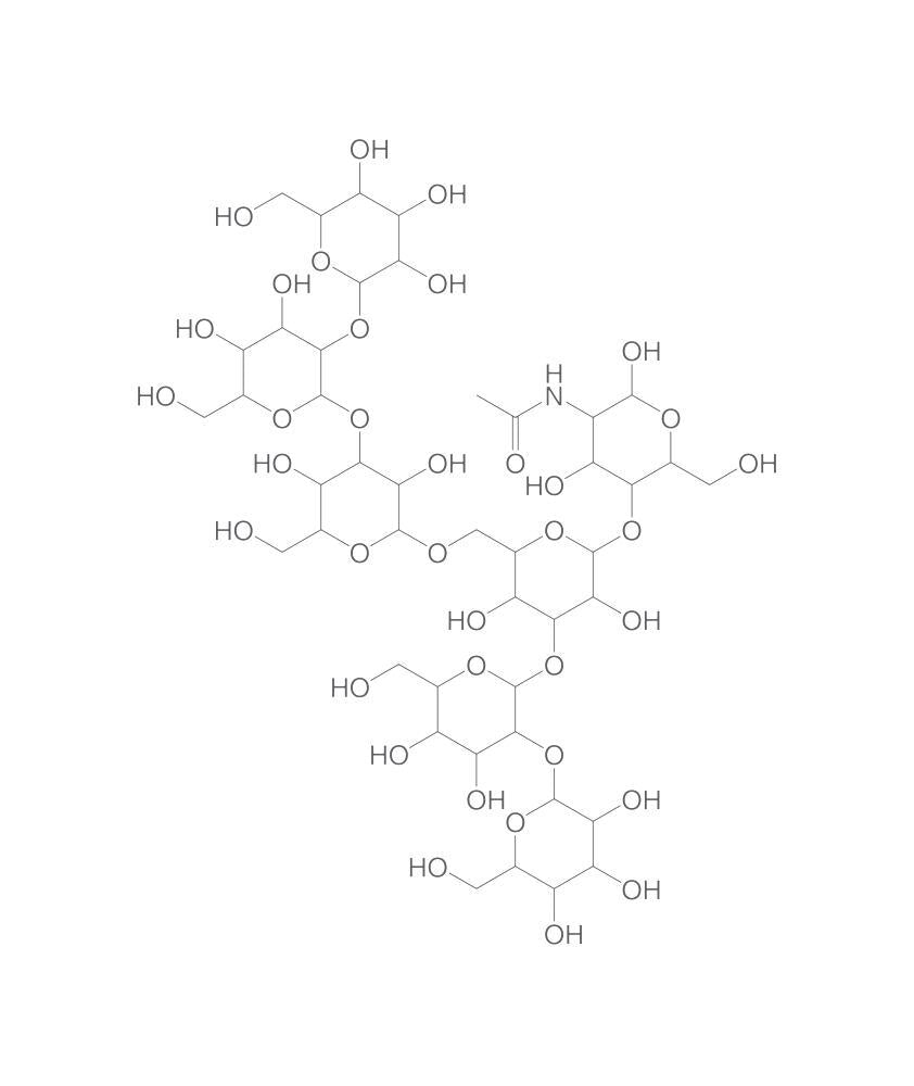 Man6GlcNAc(II), min. 80 %, 1 mg - Luminix Health