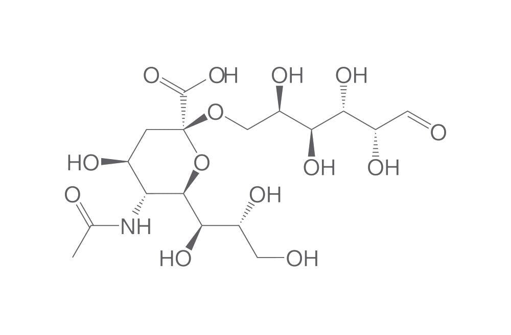 6'-Sialylgalactose sodium salt, 1 mg - Luminix Health