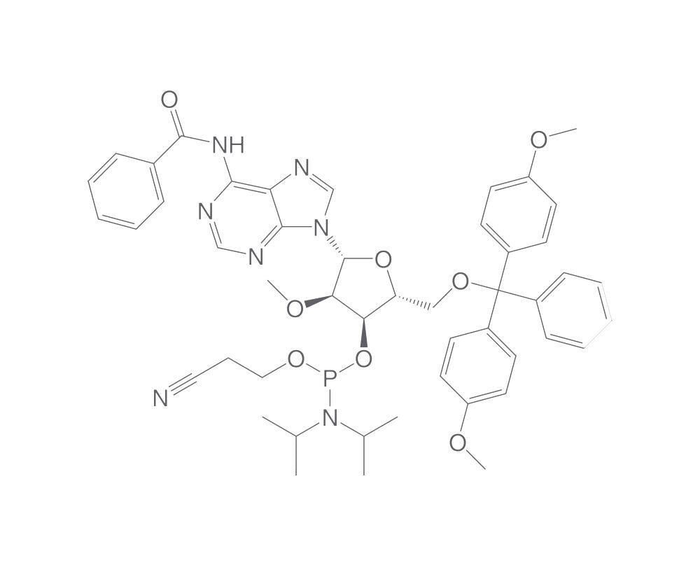 N6-Benzoyl-5'-O-DMT-2'-O-methyladenosine, 3'-CE phosphoramidite, 5 g - Luminix Health
